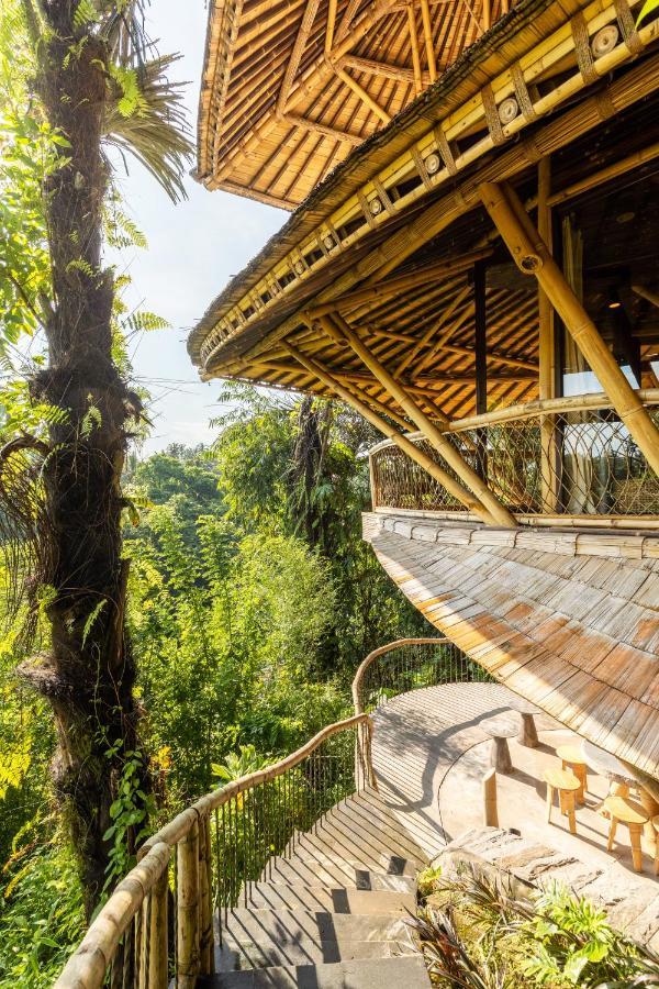 Eclipse House 4Bds Eco Bamboo House Pool Riverview Bringkit المظهر الخارجي الصورة