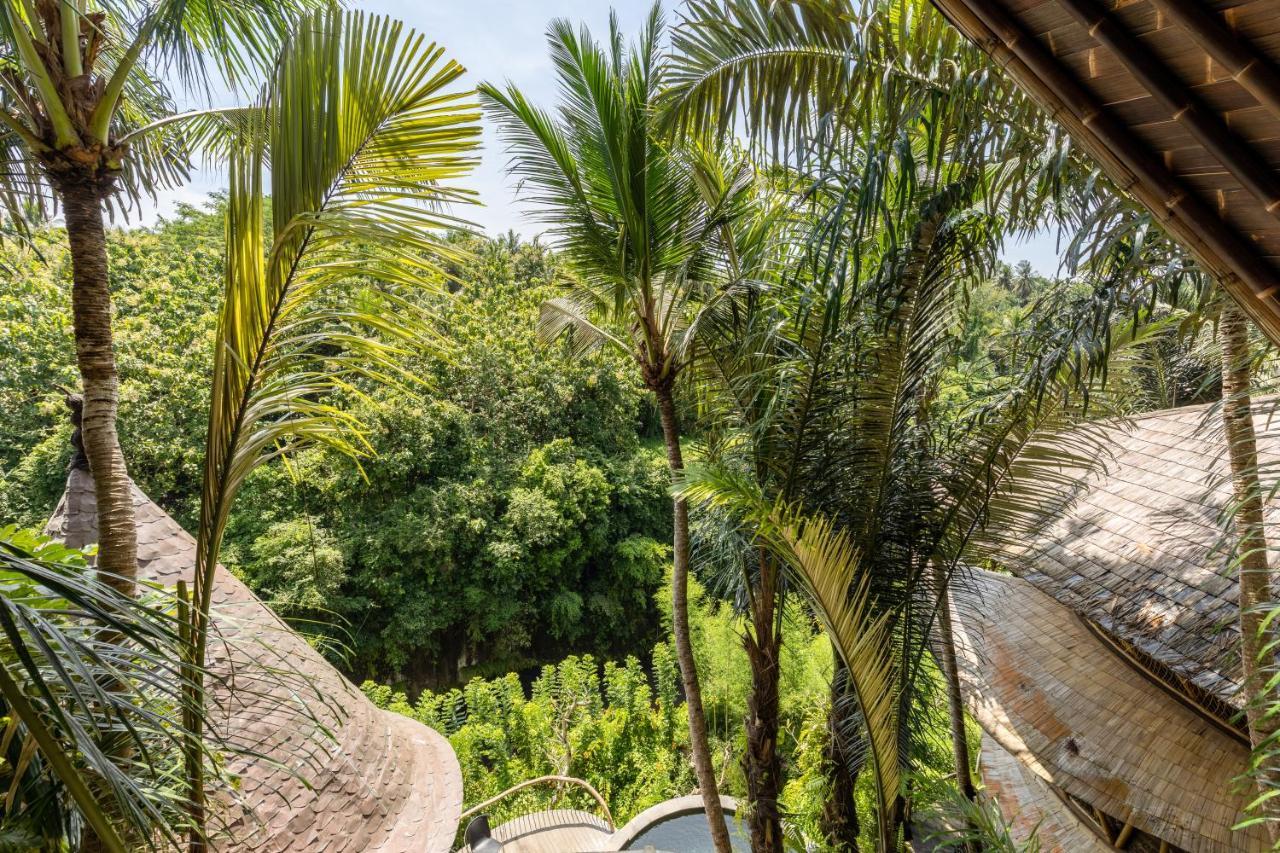 Eclipse House 4Bds Eco Bamboo House Pool Riverview Bringkit المظهر الخارجي الصورة