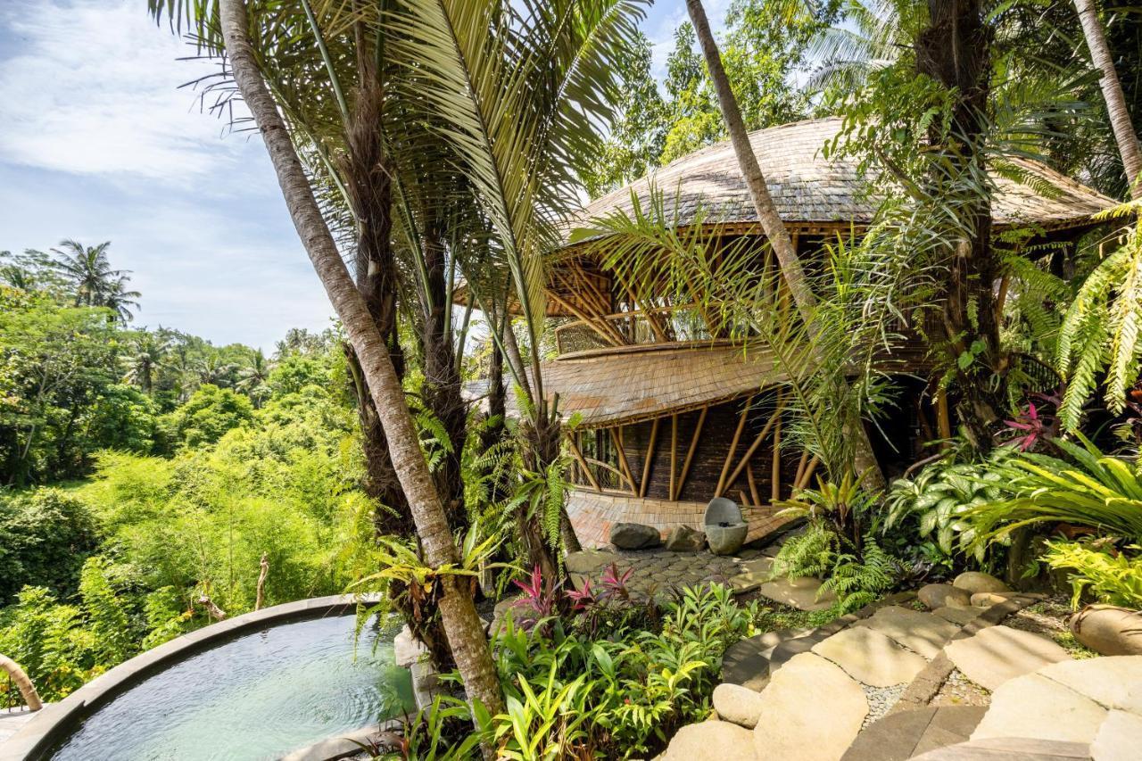 Eclipse House 4Bds Eco Bamboo House Pool Riverview Bringkit المظهر الخارجي الصورة