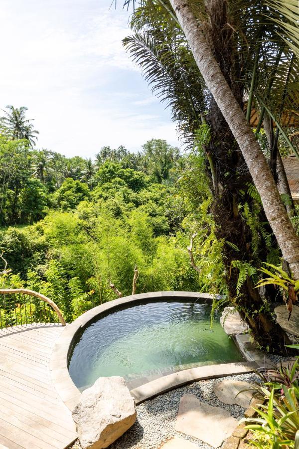 Eclipse House 4Bds Eco Bamboo House Pool Riverview Bringkit المظهر الخارجي الصورة